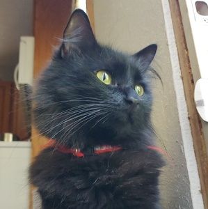 Meet your Posher, Kiera